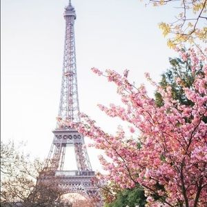 Meet your Posher, Loretta